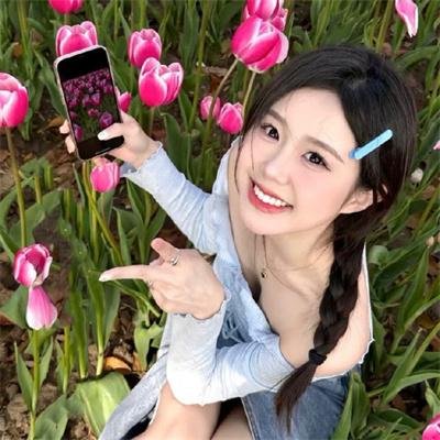 锦囊妙录